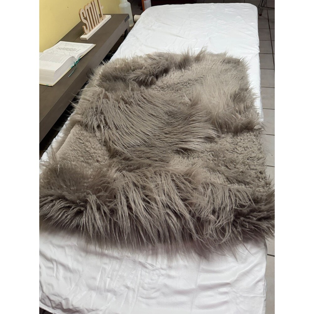 Pottery Barn Luxury Faux Fur Throw Blanket - Soft Gray